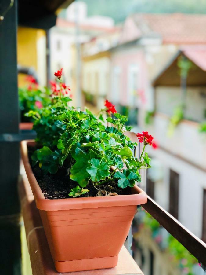 Il Terrazzino Iglesias Bed & Breakfast Dış mekan fotoğraf